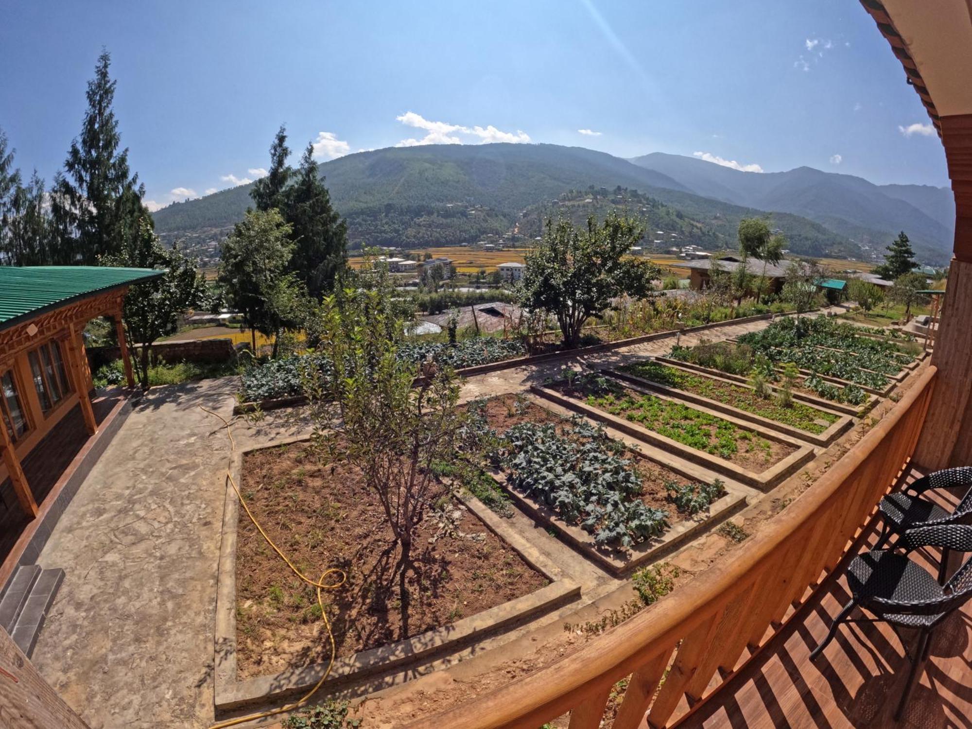 Rema Resort Паро Экстерьер фото